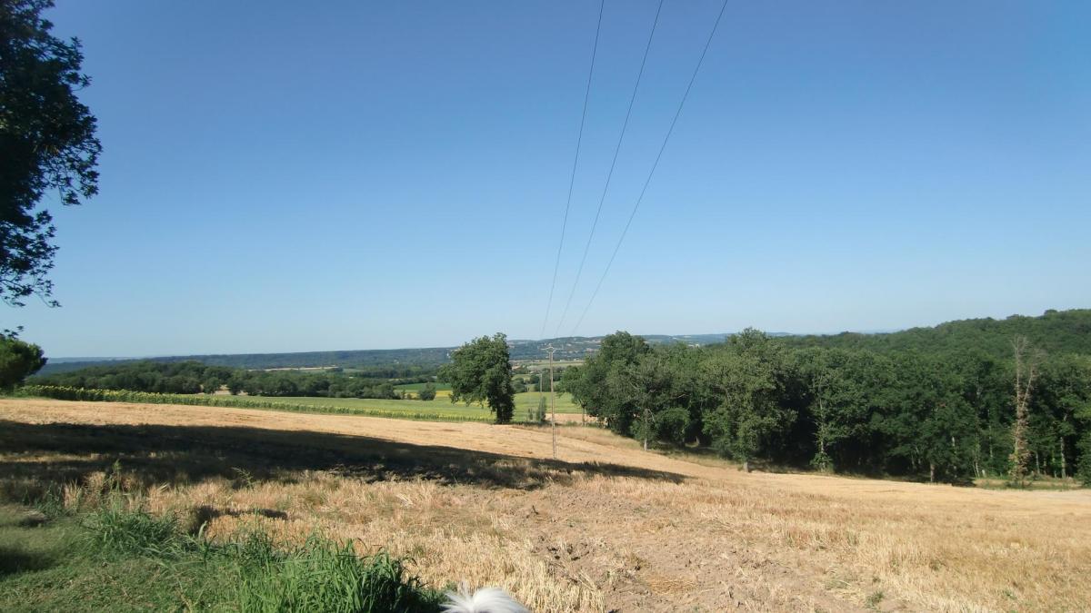 Mairie de Lugan : Newsletter Juin 2026, Conseil Municipal