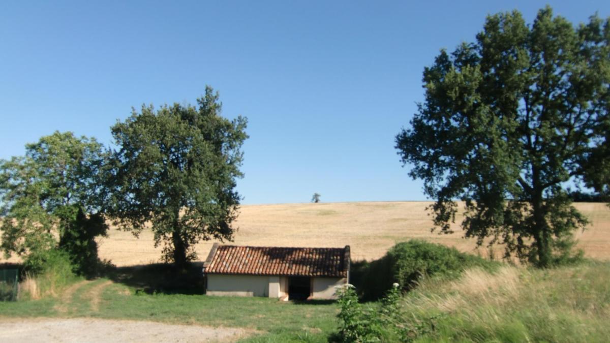 Mairie de Lugan - Newsletter Mai 2026 | Infos & Événements
